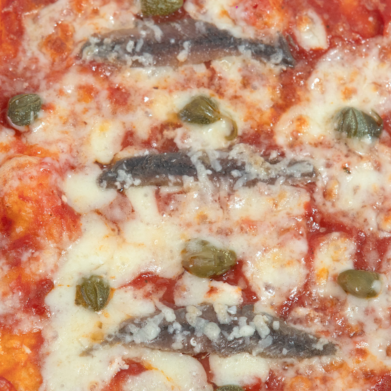Pizza Provola & Sardelle